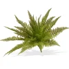 Shop National Tree Company Artificial Fern Bush, Stem Vine Base, Spring Collection, 21 Inches