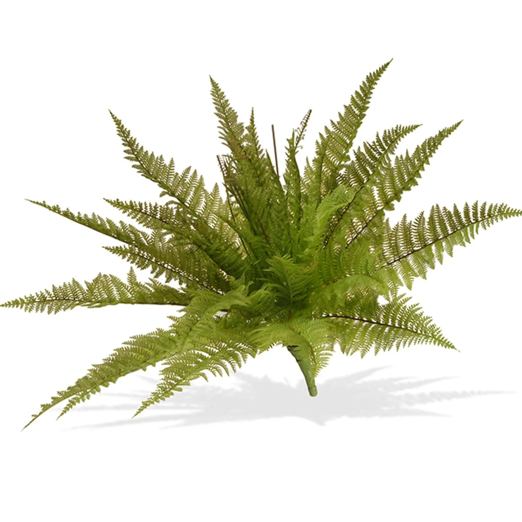 Shop National Tree Company Artificial Fern Bush, Stem Vine Base, Spring Collection, 21 Inches
