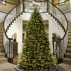 Flash Sale National Tree Company Artificial Full Christmas Tree, Green, Dunhill Fir, Includes Stand, 14 Feet