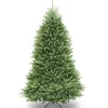 Artificial Full Christmas Tree, Green, Dunhill Fir, Includes Stand, 6.5 Feet^National Tree Company Clearance