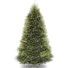 Artificial Full Christmas Tree, Green, Dunhill Fir, Includes Stand, 9 Feet^National Tree Company Best Sale
