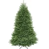 Artificial Full Christmas Tree, Green, Dunhill Fir, Includes Stand, 7 Feet^National Tree Company Best