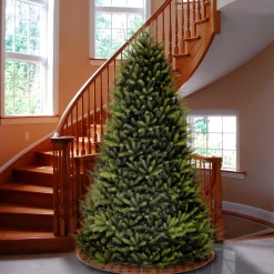 Fashion National Tree Company Artificial Full Christmas Tree, Green, Dunhill Fir, Includes Stand, 10 Feet
