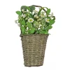 Sale National Tree Company Artificial Hanging Wall Basket, Woven Branch Base, Decorated With Daisy Flowers, Berries, Leafy Greens, Spring Collection, 18 Inches