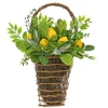 Cheap National Tree Company Artificial Hanging Wall Basket, Wicker Base, Decorated With Lemons, Seed Pods, Leafy Greens, Spring Collection, 21 Inches