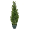 Clearance National Tree Company Artificial Mini Tree Decoration, Cedar, Includes Green Pot Base, Spring Collection, 38 Inches