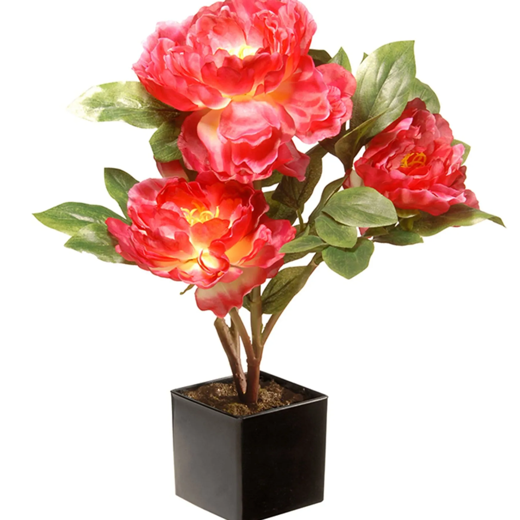 Cheap National Tree Company Artificial Potted Flower, Red Peony, Incudes Black Base, Spring Collection, 15 Inches