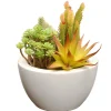 Cheap National Tree Company Artificial Potted Plant, Decorated With Various Green Succulents, Includes Stylish White Ceramic Base, Spring Collection, 8 Inches