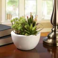 Cheap National Tree Company Artificial Potted Plant, Decorated With Various Green Succulents, Includes Stylish White Ceramic Base, Spring Collection, 8 Inches