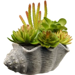 Flash Sale National Tree Company Artificial Potted Plant, Decorated With Various Green And Orange Succulents, Includes Stylish Conch Shell Cement Pot Base, Spring Collection, 11 Inches
