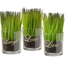 Cheap National Tree Company Artificial Potted Plant Set, Green Plant Sprouts, Square Glass Pot Base With Messages, Pack Of 3, Spring Collection, 6 Inches Each