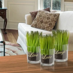 Cheap National Tree Company Artificial Potted Plant Set, Green Plant Sprouts, Square Glass Pot Base With Messages, Pack Of 3, Spring Collection, 6 Inches Each