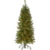 Flash Sale National Tree Company Artificial Pre-Lit Slim Christmas Tree, Green, Kingswood Fir, White Lights, Includes Stand, 4.5 Feet