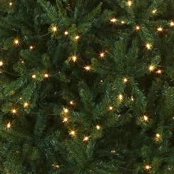 Best Sale National Tree Company Artificial Pre-Lit Slim Christmas Tree, Green, Kingswood Fir, White Lights, Includes Stand, 10 Feet