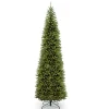 Artificial Slim Christmas Tree, Green, Kingswood Fir, Includes Stand, 14 Feet^National Tree Company New