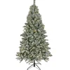 Shop National Tree Company Artificial Snowy Harwich Hinged Christmas Tree, Pre-Lit With Powerconnect Dual Colored Led Lights, Plug In, 9 Ft