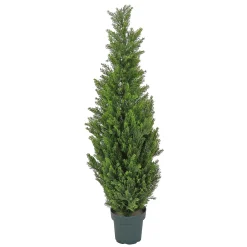 Cheap National Tree Company Artificial Tree Decoration, Cedar, Includes Green Pot Base, Spring Collection, 50 Inches
