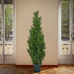 Cheap National Tree Company Artificial Tree Decoration, Cedar, Includes Green Pot Base, Spring Collection, 50 Inches