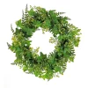 Hot National Tree Company Artificial Wreath Decoration, Green, Woven Branch Base, Decorated With Ivy And Fern Leaves, Seed Pods, Flowing Green Stems, Spring Collection, 24 Inches