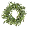 New National Tree Company Artificial Wreath Decoration, Green, Woven Branch Base, Decorated With Eucalyptus Leaves, Flowing Green Stems, Spring Collection, 22 Inches