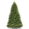 Dunhill® Fir Tree^National Tree Company Clearance