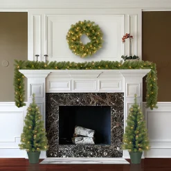 Sale National Tree Company Evergreen Assortment With Battery Operated Led Lights