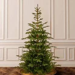 Outlet National Tree Company Feel Real' Artificial Christmas Tree, Norwegian Spruce, Green, Includes Stand, 7.5 Feet