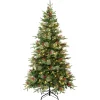 Cheap National Tree Company First Traditions 6 Ft. Virginia Pine Tree With Led Lights
