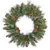 Discount National Tree Company First Traditions Collection, 30" Pre-Lit Artificial North Conway Wreath With Glittery Cones And Eucalyptus