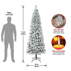 Store National Tree Company First Traditions Collection Artificial Christmas Tree, Acacia, Flocked, Includes Stand, 7.5 Feet