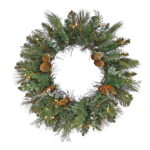 Hot National Tree Company First Traditions Collection, 24" Pre-Lit Artificial North Conway Wreath With Glittery Cones And Eucalyptus