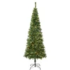 Shop National Tree Company First Traditions Pre-Lit Artificial Linden Spruce Christmas Tree, Warm White Led Lights, Plug In, 7.5 Ft