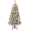 Fashion National Tree Company First Traditions Pre-Lit Acacia Flocked Tree Christmas Tree, Clear Incandescent Lights, Plug In, 4.5 Ft