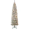 First Traditions Pre-Lit Acacia Flocked Tree Slim Christmas Tree, Clear Incandescent Lights, Plug In, 7.5 Ft^National Tree Company Outlet
