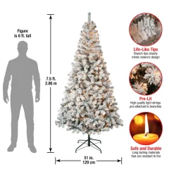 Best Sale National Tree Company First Traditions Pre-Lit Acacia Flocked Tree Christmas Tree, Clear Incandescent Lights, Plug In, 7.5 Ft