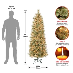Best Sale National Tree Company First Traditions Pre-Lit Arcadia Pine Cashmere Slim Christmas Tree, Clear Incandescent Lights, Plug In, 6 Ft