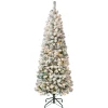 First Traditions Pre-Lit Acacia Flocked Tree Medium Christmas Tree, Clear Incandescent Lights, Plug In, 6 Ft^National Tree Company Fashion