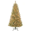 First Traditions Pre-Lit Arcadia Pine Cashmere Christmas Tree, Clear Incandescent Lights, Plug In, 6 Ft^National Tree Company Sale