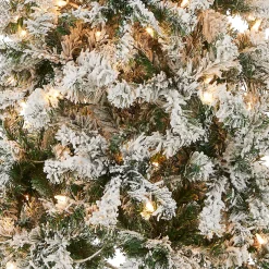 Cheap National Tree Company First Traditions Pre-Lit Acacia Flocked Tree Medium Christmas Tree, Clear Incandescent Lights, Plug In, 6 Ft