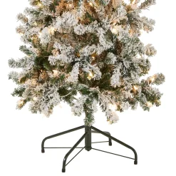 Cheap National Tree Company First Traditions Pre-Lit Acacia Flocked Tree Medium Christmas Tree, Clear Incandescent Lights, Plug In, 6 Ft