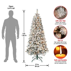 Cheap National Tree Company First Traditions Pre-Lit Acacia Flocked Tree Christmas Tree, Clear Incandescent Lights, Plug In, 6 Ft