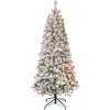 First Traditions Pre-Lit Acacia Flocked Tree Christmas Tree, Clear Incandescent Lights, Plug In, 6 Ft^National Tree Company Outlet