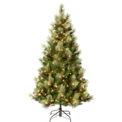 First Traditions Pre-Lit Charleston Pine Snowy Slim Christmas Tree, Clear Incandescent Lights, Plug In, 6 Ft^National Tree Company Shop