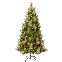 Sale National Tree Company First Traditions Pre-Lit Charleston Pine Snowy Slim Christmas Tree, Clear Incandescent Lights, Plug In, 6 Ft