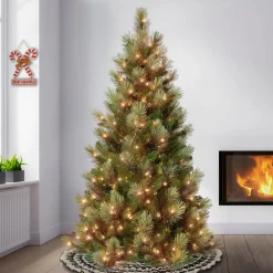 Sale National Tree Company First Traditions Pre-Lit Charleston Pine Snowy Slim Christmas Tree, Clear Incandescent Lights, Plug In, 6 Ft