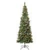 Cheap National Tree Company First Traditions Pre-Lit Cullen Slim Christmas Tree With Hinged Branches, Warm White Led Lights, Plug In, 7.5Ft