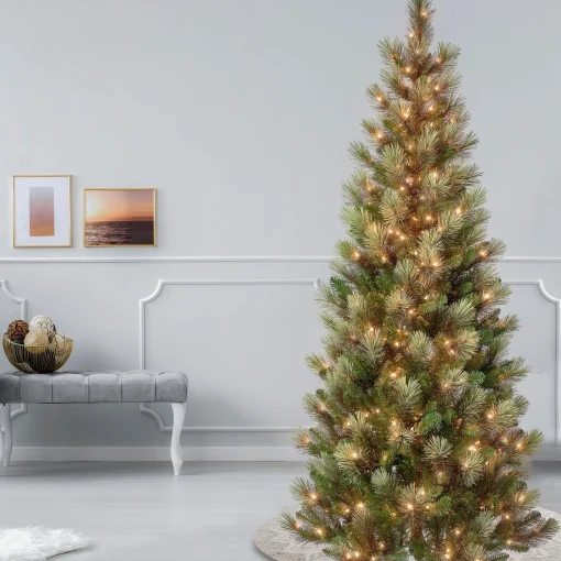 Store National Tree Company First Traditions Pre-Lit Charleston Pine Snowy Slim Christmas Tree, Clear Incandescent Lights, Plug In, 7.5 Ft
