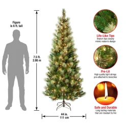 Store National Tree Company First Traditions Pre-Lit Charleston Pine Snowy Slim Christmas Tree, Clear Incandescent Lights, Plug In, 7.5 Ft
