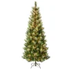 First Traditions Pre-Lit Charleston Pine Snowy Slim Christmas Tree, Clear Incandescent Lights, Plug In, 7.5 Ft^National Tree Company New