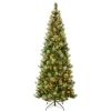 First Traditions Pre-Lit Charleston Pine Snowy Slim Christmas Tree, Clear Incandescent Lights, Plug In, 9 Ft^National Tree Company Store